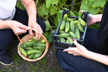 Similar image 22377324