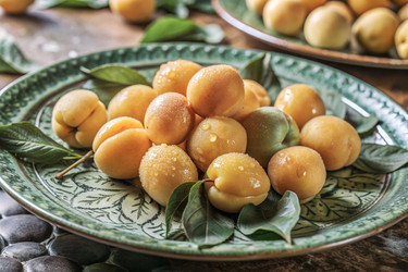 Similar image 22394603