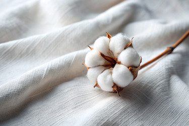 Similar image 22393428