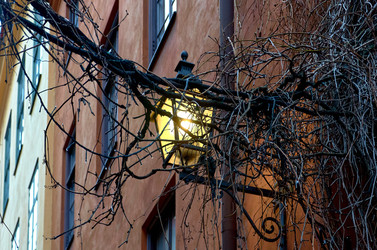 Similar image 22381426