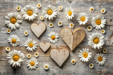 Similar image 22390458