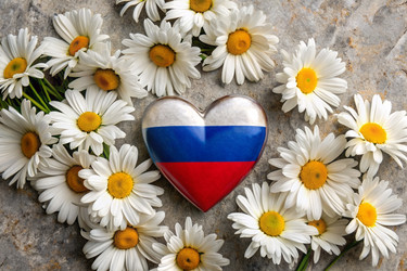 Similar image 22393258