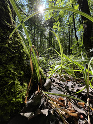 Similar image 22381879