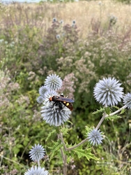 Similar image 22381881