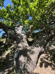 Similar image 22381882