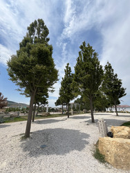 Similar image 22381883