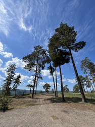 Similar image 22381884