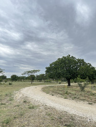 Similar image 22381886