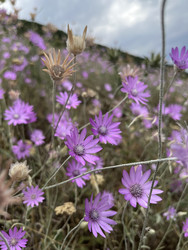 Similar image 22381897