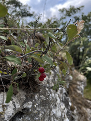 Similar image 22381898