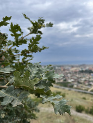 Similar image 22381899