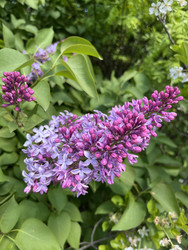 Similar image 22381901