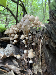 Similar image 22381903