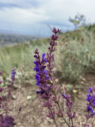 Similar image 22381913