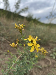 Similar image 22381914