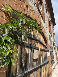 Similar image 22381916