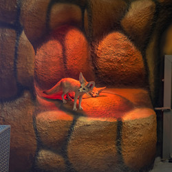 Similar image 22387043