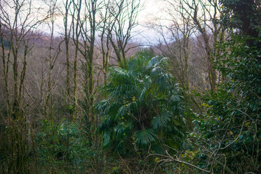 Similar image 22387044