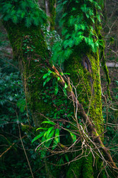 Similar image 22387045