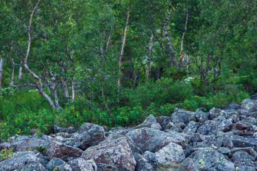 Similar image 22387048