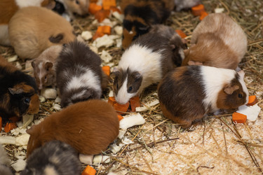 Similar image 22387049