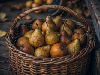 Similar image 22394718