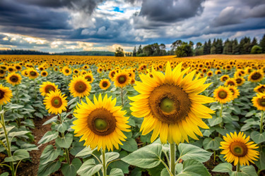 Similar image 22385887