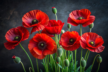 Similar image 22385888