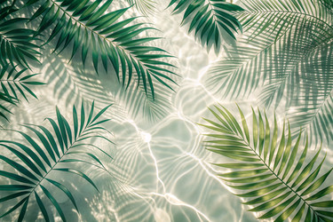 Similar image 22389243