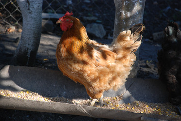 Similar image 22381983