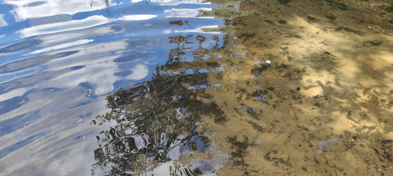 Similar image 22382016