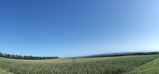 Similar image 22382020