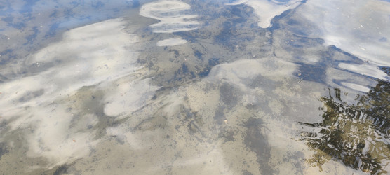 Similar image 22382022