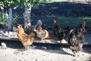 Similar image 22382036