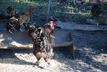 Similar image 22382037