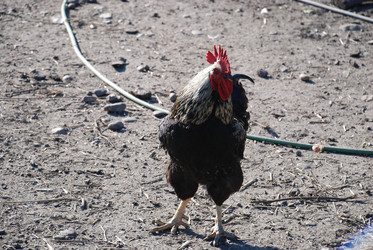 Similar image 22382038