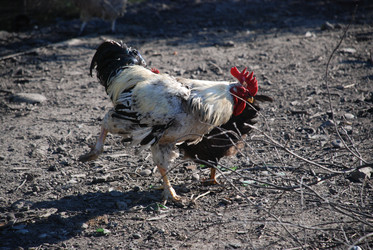 Similar image 22382039