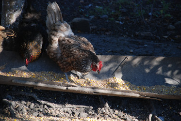 Similar image 22381941