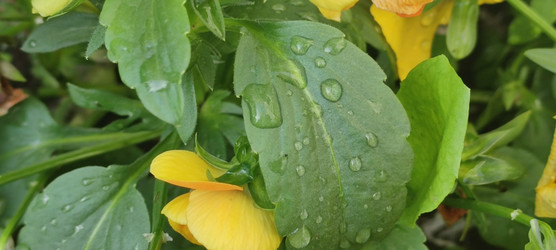 Similar image 22381943