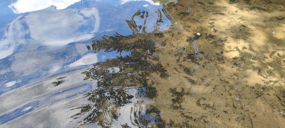 Similar image 22381945