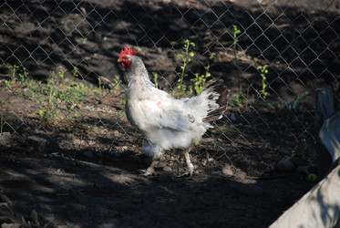 Similar image 22381947