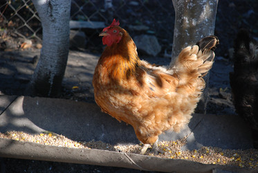 Similar image 22381951