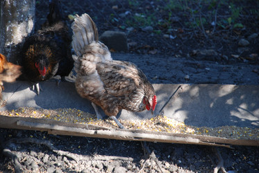 Similar image 22381952