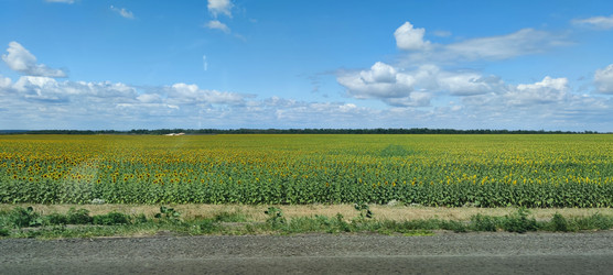 Similar image 22381953