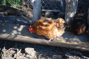 Similar image 22381968