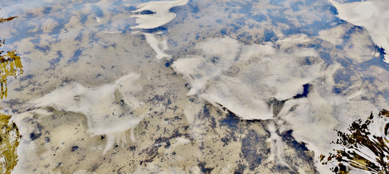 Similar image 22381975