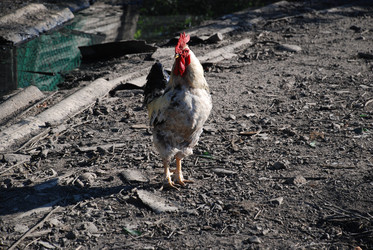 Similar image 22381976