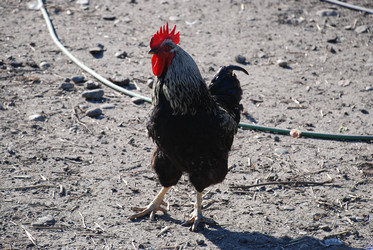 Similar image 22381979