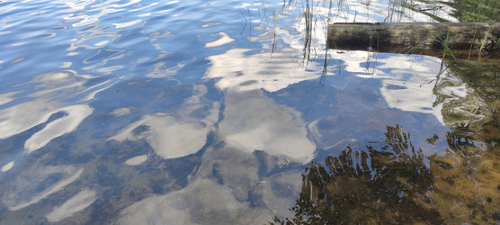 Similar image 22381984