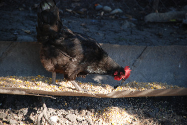 Similar image 22381990